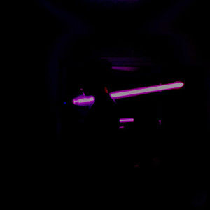 Meet your Posher, Guillermo